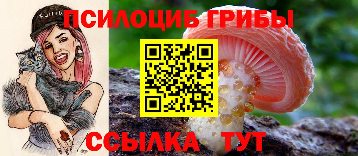 Галлюциногенные грибы ЛСД  Вход с VPN  Ачхой-Мартан 